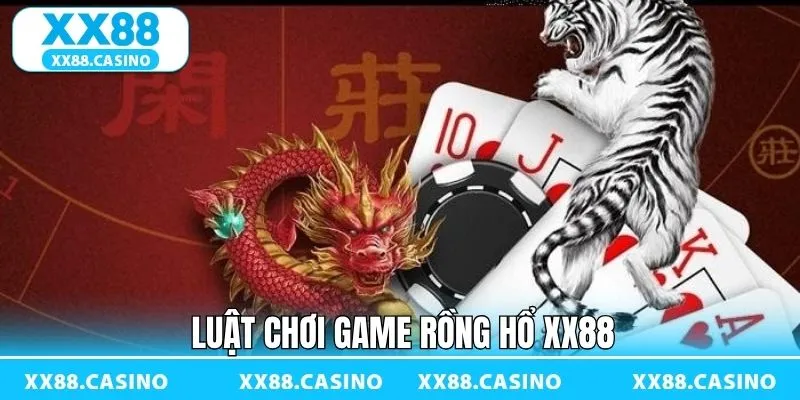 Hướng dẫn tân thủ cách chơi rồng hổ XX88 Hướng dẫn tân thủ cách chơi rồng hổ XX88